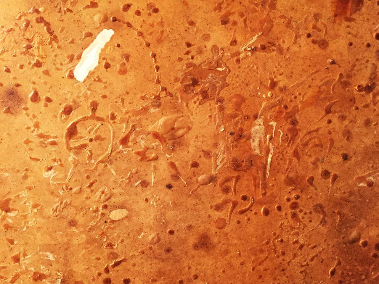 bones